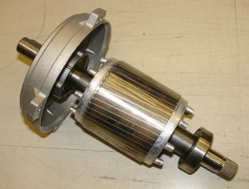 Squirrel cage rotor