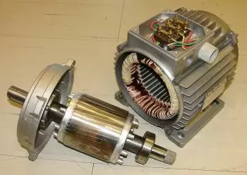 What are the types of electric motors?