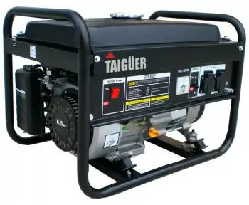 Electric generator